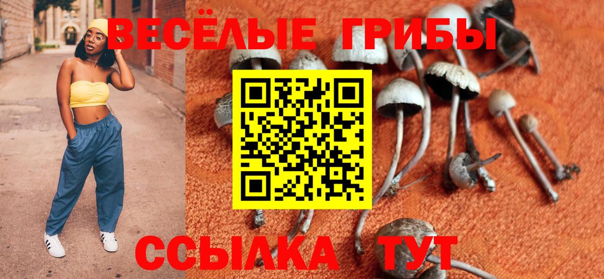Галлюциногенные грибы GOLDEN TEACHER  Вход с VPN  Псилоцибиновые грибы MAGIC MUSHROOMS  Кудымкар 